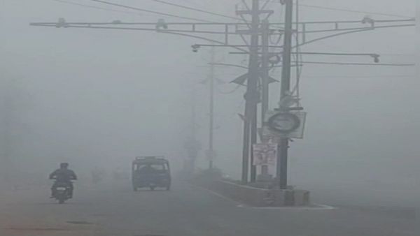 MP Weather Update: मौसम की करवट, बुंदेलखंड—ग्वालियर में कोहरा, कई जिलों में बारिश की संभावना