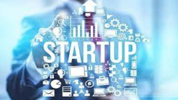 Cockroach Startups: क्या हैं कॉकरोच स्टार्टअप, और क्यों यूनिकॉर्न को छोड़ निवेशक दे रहे इन पर ध्यान