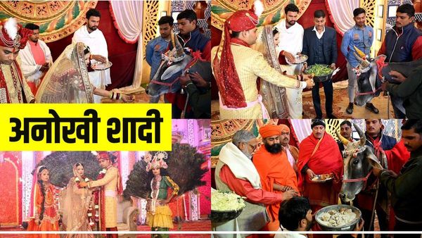 Gwalior News: दूल्हा-दुल्हन ने गौ माता का पूजन कर सात फेरे लिए, डीजे की जगह भक्ति कार्यक्रमों की प्रस्तुति