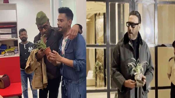 हाथ में स्पाइडर प्लांट लेकर क्यों हर जगह पहुंच जाते हैं जैकी श्रॉफ, इस पौधे की कहानी उड़ा देगी आपके होश