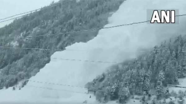 Jammu and Kashmir: बालटाल-जोजिला के पास हुआ भारी हिमस्खलन, Video देखकर सिहर उठेंगे आप