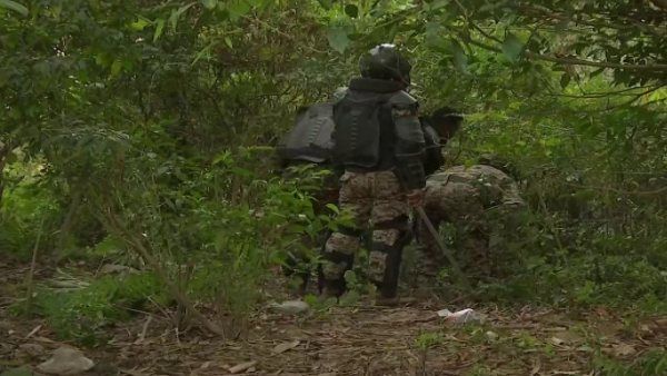 West Bengal: कुर्सियांग के रिहायशी इलाके दिखा तेंदुआ, चाय बागानों में बिछाए गए जाल