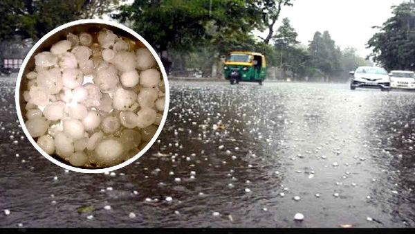 MP Weather Update : बर्फीली हवाओं ने मप्र के कई जिलों में बढ़ाई ठंड, ग्वालियर-चंबल में बारिश के साथ ओले गिरे