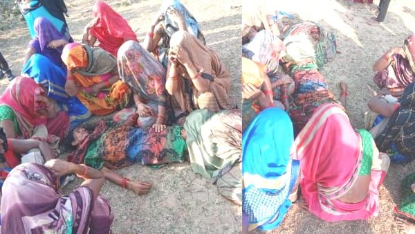 Sidhi Tiger Attack : बाघ के हमले में पूर्व महिला सरपंच की मौत, 2 माह के भीतर तीसरी घटना