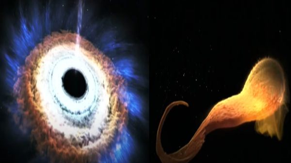 Tidal Disruption: भूखा Black hole निगल गया तारा! बना डोनट, देखिए अंतरिक्ष की दुर्लभ घटना