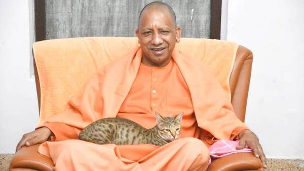 Twitter पर छाई सीएम Yogi Adityanath की बिल्ली के साथ फोटो, यूजर्स ने कुछ यूं दिए रिएक्शन