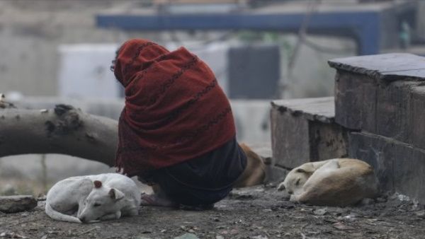 IMD Alert:अगले 4 दिनों तक इन राज्‍यों में छाया रहेगा घना कोहरा, चलेगी शीतलहर, पड़ेगी हांड कंपाती ठंड