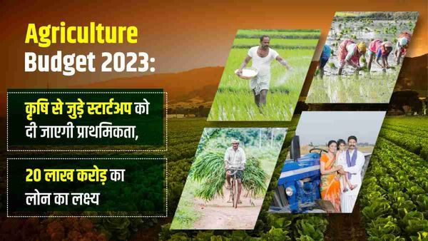 Agriculture Budget 2023: कृषि से जुड़े स्टार्ट अप को दी जाएगी प्राथमिकता, 20 लाख करोड़ लोन का लक्ष्य
