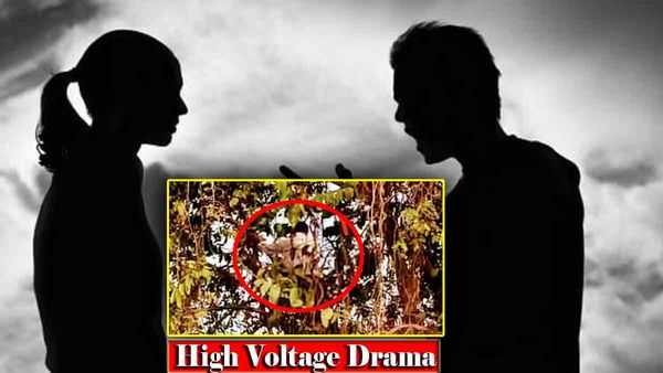Azamgarh: पत्नी की विदाई के लिए ससुराल में पति का हाई वोल्टेज ड्रामा, पेड़ पर चढ़कर बोला- मैं कूद जाऊंगा