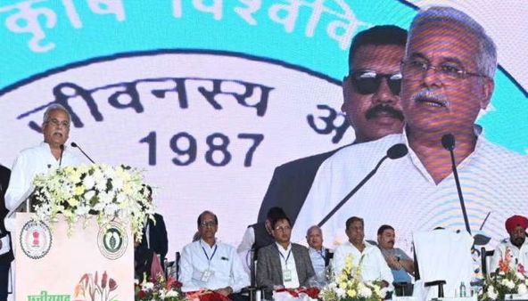 Chhattisgarh Millet Carnival: सीएम भूपेश बघेल का केंद्र सरकार को सुझाव, Mid Day Meal में शामिल हो मिलेट्स