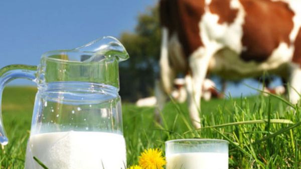 Fact Check: भारत में Import होगा दूध, घी और मक्खन? सरकार ने बताई सच्चाई