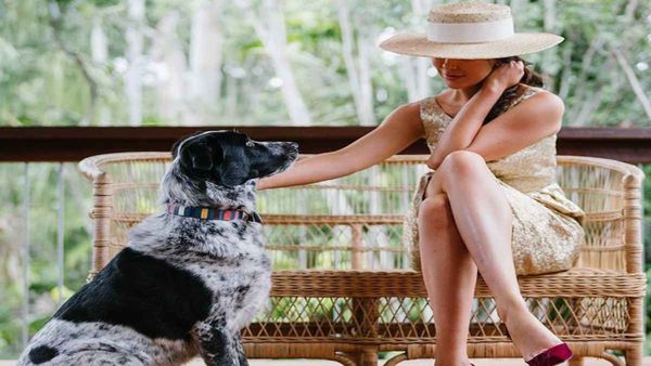 लेडी ने Part Time में Dogs के साथ बिताया समय, मिले 10 लाख, सर से उतारा सारा कर्ज