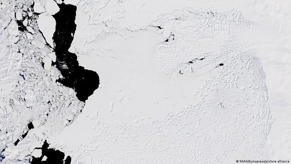 पेंसिल जितने पतले रोबोट ने दिखाया ग्लेशियर का डरावना सच