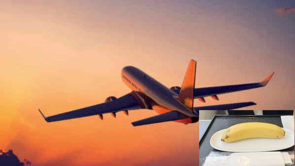 सात घंटे की फ्लाइट में ब्रेकफॉस्‍ट में सर्व किया सिंगल केला, प्‍लेट देख बिजनेस क्‍लास यात्री हुआ Shocked