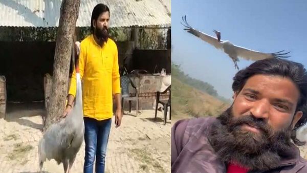 अनोखी दोस्ती: आरिफ का पक्का दोस्त बना सारस, बाइक पर पीछे उड़कर करता है पीछा, नहीं छोड़ता साथ, Video