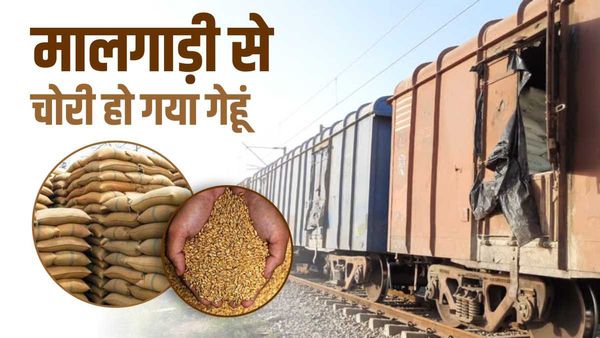 Indian Railways: पिपरिया रेलवे स्टेशन में मालगाड़ी में चोरी, 100 बोरे गेहूं गायब , जांच में जुटा RPF प्रशासन