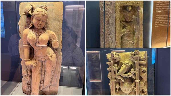 G-20 Summit: 'पैरेट लेडी' सहित 229 धरोहरों की विदेशों से घर वापसी