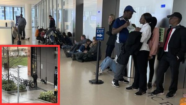 लंदन के US दूतावास में हड़कंप, संदिग्ध पैकेज हुआ बरामद, खाली कराई गई एंबेसी