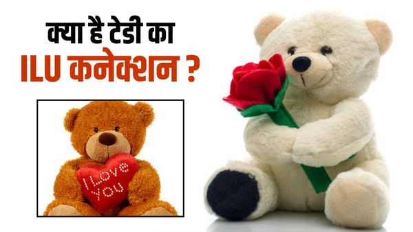Teddy Day 2023: क्या है टेडी का ILU कनेक्शन? टेडी बियर कैसे बना प्यार का सिंबल?