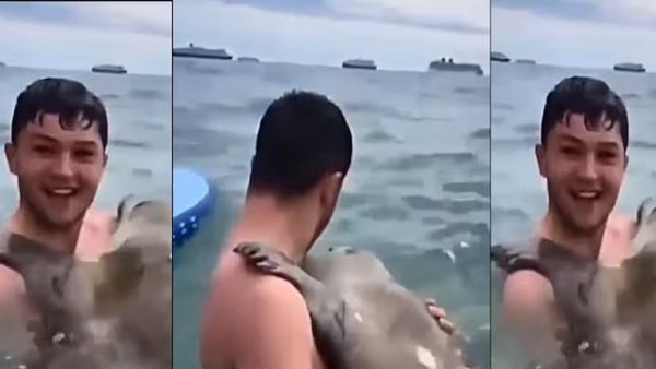 Video: समुद्र में मस्ती कर रहा था शख्स, गले से लिपट गया ये जानवर, 'प्यार' से छुड़ाया पीछा
