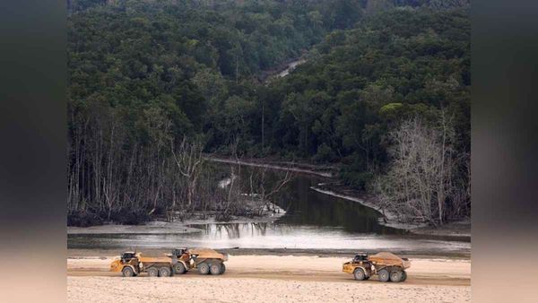 MISHTI स्कीम: ओडिशा को उम्मीद- तटीय इलाकों की सुरक्षा में मिलेगी मदद
