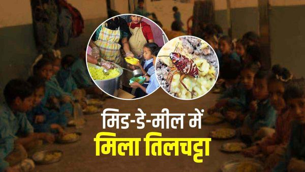 West Bengal: सांप-छिपकली के बाद अब मिड-डे-मील में मिला तिलचट्टा, BDO ने दिए जांच के आदेश