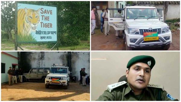नौरादेही अभयारण्य: गश्ती दल पर देशी बम से जानलेवा हमला, बाल-बाल बचे वनकर्मी