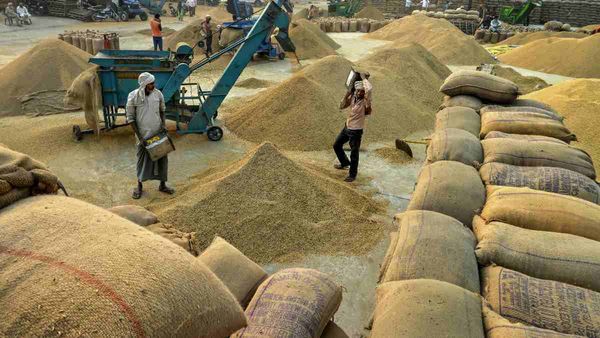 देश में रिकॉर्ड 3,235 लाख टन खाद्यान्न उत्पादन की संभावना, सरकार ने मेहनतकश किसानों-वैज्ञानिकों को दिया श्रेय