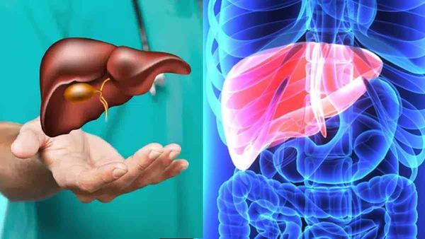 Liver Transplant: जानें लिवर ट्रांसप्लांट से जुड़ी हर जानकारी, ऑर्गन पॉलिसी बनेगी सहायक