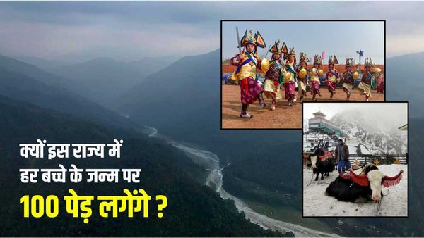 हर बच्चे के जन्म पर 100 पेड़ लगेंगे, जनसंख्या बढ़ाने के लिए क्यों प्रेरित कर रहा है ये राज्य ? जानिए