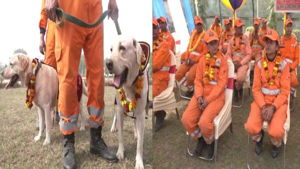 Operation Dost: 'ऑपरेशन दोस्त' पूरा कर लौटा NDRF दल, जांबाज डॉग रेम्बो और हनी की भी वतन वापसी