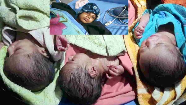 महिला ने एक साथ 3 बच्चों को दिया जन्म! डॉक्टर ने कहा: दोनों बेटियां और एक बेटा बिलकुल स्वस्थ