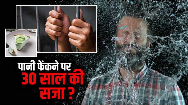 खाने के एक टुकड़े के लिए भिड़े दो भाई , लड़ाई में फेंक दिया दो ग्लास पानी, अब छोटे को होगी 30 साल की सजा!