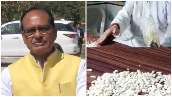 MP Politics News: फोर्टिफाइड चावल को लेकर CM शिवराज का करारा जवाब, 'भ्रम फैला रही है कांग्रेस'