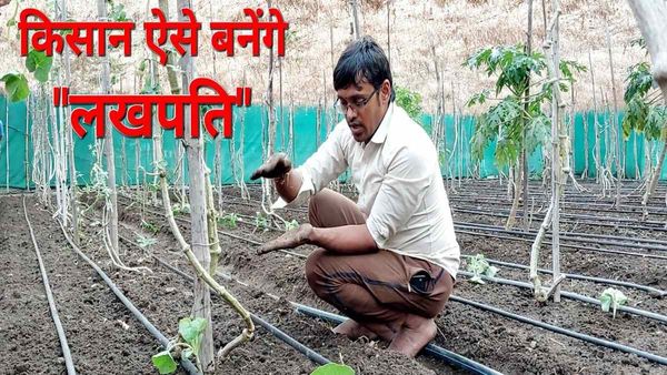 आकाश का कमालः मल्टी लेयर में 44 फसलें, किसानों को लखपति बनाने का निकाला फाॅर्मूला