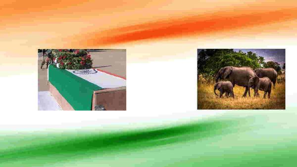 Ballia: CRPF जवान का प्रार्थिव शरीर आते ही पूरे गांव में मचा कोहराम, गार्ड आफ आनर के साथ हुई अंतिम विदाई