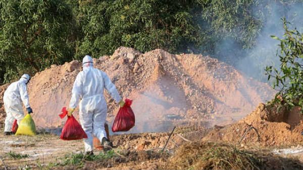 चिली में सामने आया इंसानों में पहला 'Bird Flu' का मामला, फ्लू के गंभीर लक्षण