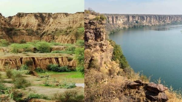 Chambal Beehad Safari: चंबल में बनेगी सफारी, खूंखार डाकुओं के लिए बदनाम रहे बीहड़ में पर्यटक मना सकेंगे पिकनिक