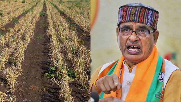 MP में किसानों के हर दुःख-दर्द में साथ खड़े है ‘मामा शिवराज’, ख़राब फसलों का जल्द मिलेगा मुआवजा
