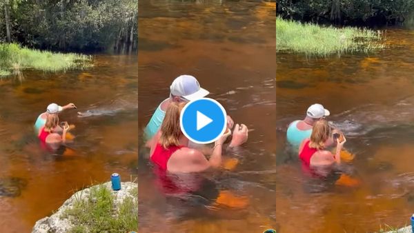 Alligator को हाथ से सैंडविच खिलाने की सनक, कपल सिर पर मंडराते खतरे से अनजान, VIDEO VIRAL