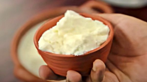 क्या Dahi बनेगा 'सियासी दंगल' का कारण? राज्यों में दही के नाम बेहद दिलचस्प, भाषा का झगड़ा छोड़िए और जानिए