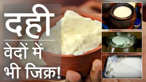 Dahi History: जब 'चमड़े की थैली' में रखा दूध दही बन गया, Curd Tamil साहित्य में भी मिलता है, जानिए रोचक इतिहास