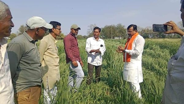 MP: ओलावृष्टि से फसल को पहुंचा नुकसान, BJP सांसद ने किसानों को दिलाया मदद का भरोसा