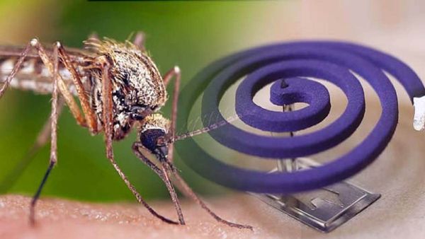 Delhi: बंद घर में जलाई मच्छर भगाने वाला क्वायल, एक ही परिवार के 6 लोगों की मौत