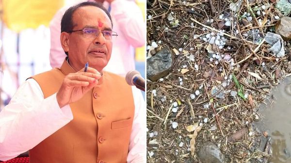 MP: ओलावृष्टि से किसानों की फसल प्रभावित, CM Shivraj का ट्वीट- मामा आपके साथ है