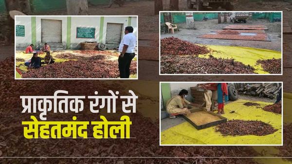 Holi पर टेसू के फूल से वन विभाग ने बनाया गुलाल, इस तरह कर सकते हैं Online खरीदी 