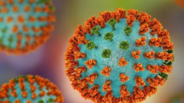 H3N2 वायरस का खतरा बढ़ा, पुडुचेरी में सभी स्कूल 16 से 26 मार्च तक बंद