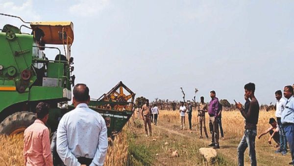 MP: अपराधी के खेत में बुलडोजर की जगह चला हार्वेस्टर, प्रशासन ने 28 एकड़ में कटवाई फसल