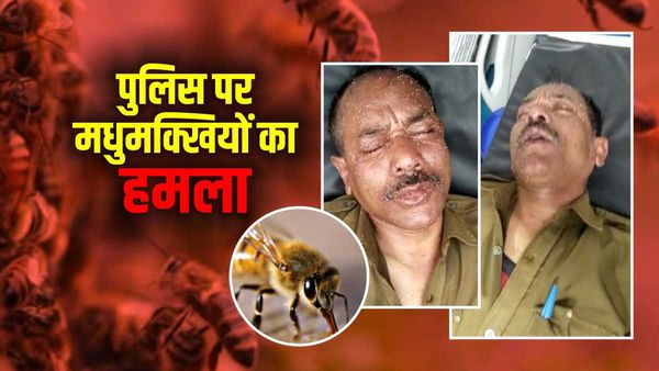 Sagar: पुलिस पर मधुमक्खियों का हमला, एंबुलेंस के ड्राइवर ने साइलेंसर से धुंआ कर बचाई जान