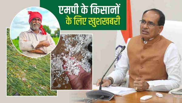 MP News: शिवराज सरकार 10 दिन में देगी ओलावृष्टि का मुआवजा, सात दिन में होगा सर्वे